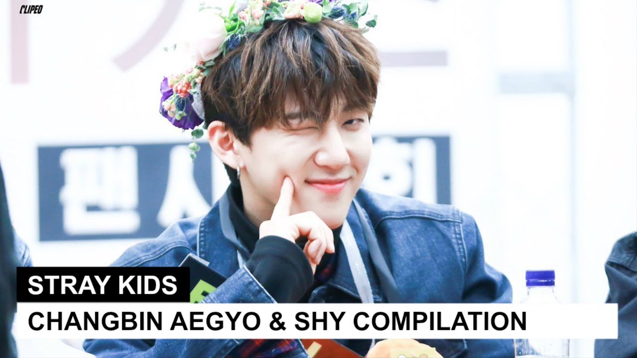 STRAY KIDS' CHANGBIN AEGYO & SHY COMPILATION | ENG SUB