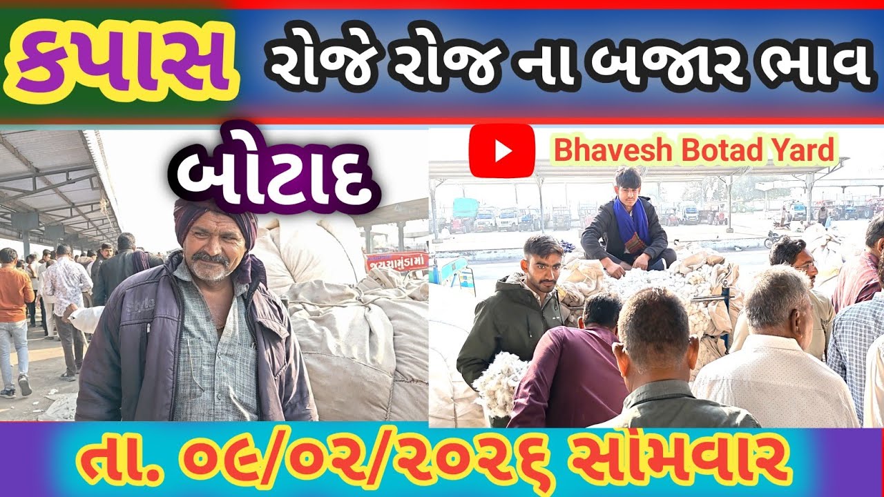 આજે બોટાદ યાર્ડ માં ખુબજ તેજી નો માહોલ 09/02/2026 || Botad Marketing Yard ||#bhaveshbotadyard