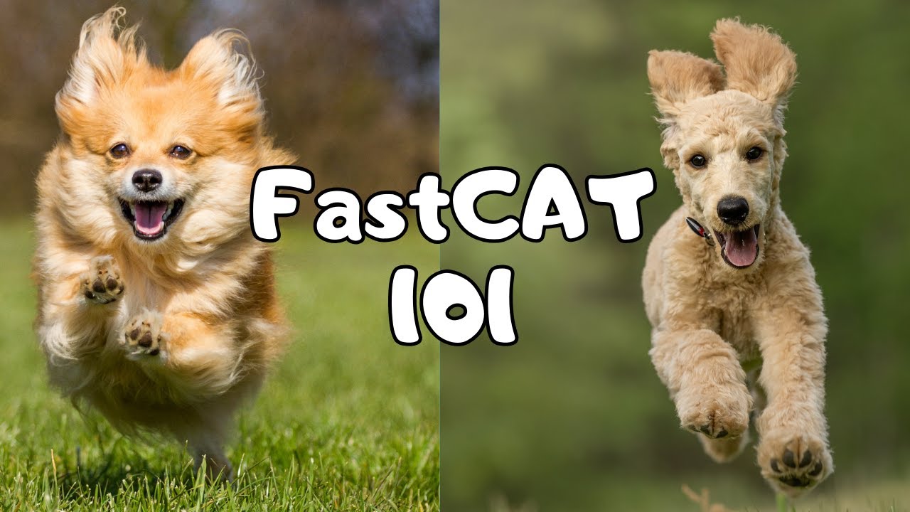How To Start FastCAT