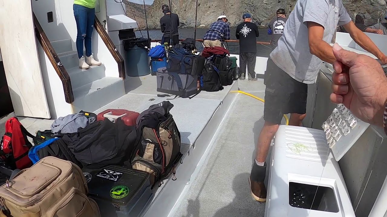 Catalina Island California Fishing trip Limits on Pursuit