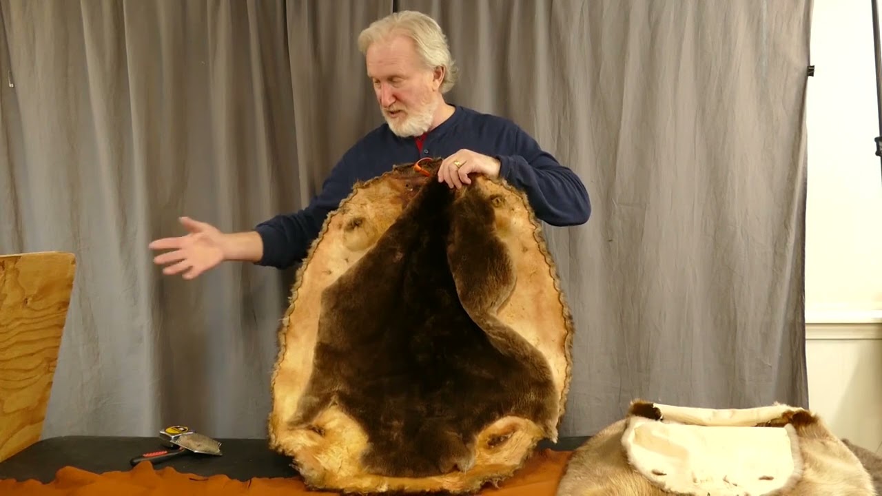 Beaver Pelts- Everything You Need to Know