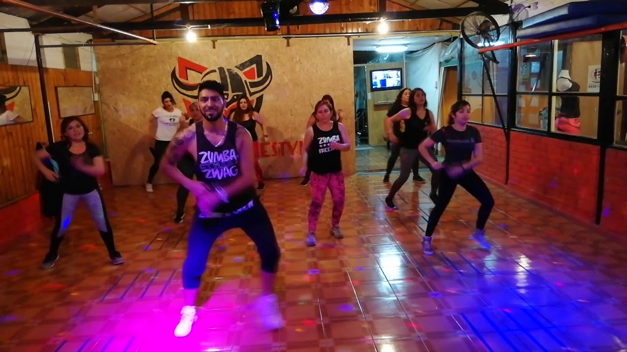 AGAPORNIS - la persiana Americana - Zumba Freestyle - Daniel Barraza