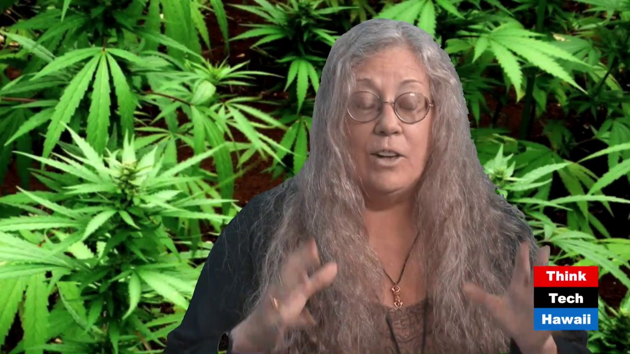 Cannabis Saved My Life (Cannabis Chronicles)