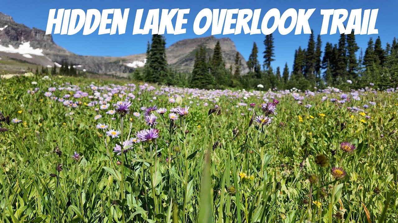Hidden Lake Overlook | Glacier National Park | Cinematic Film by AR Vlog