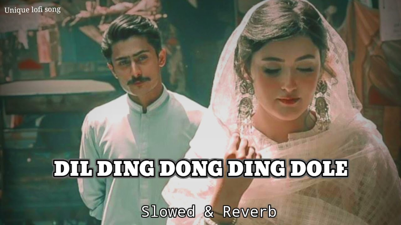 🎧Dil Ding Dong Ding Dole [Slowed & Reverb]Lofi song 🎵🎵