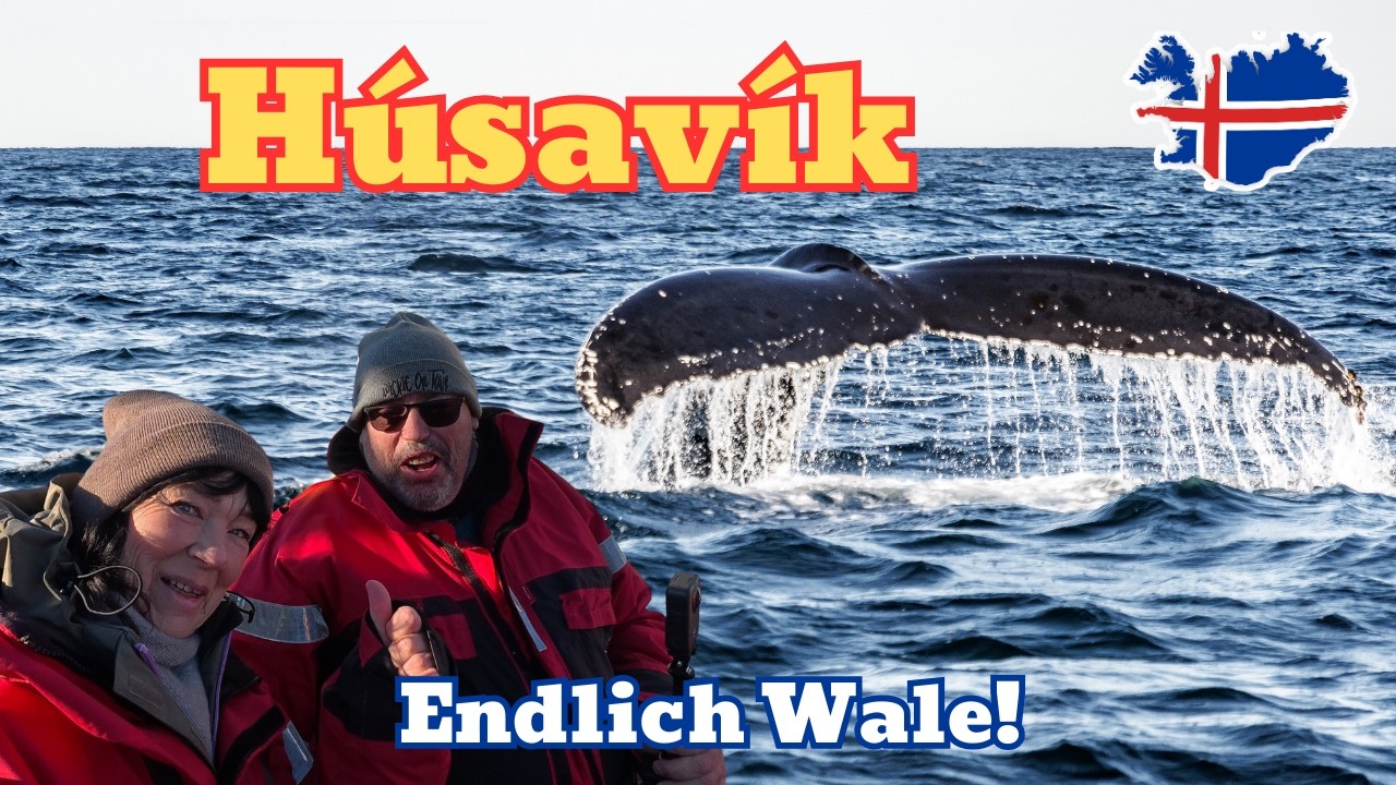 Endlich sehen wir die Wale in Húsavík & besuchen den Goðafoss! 🐋 –  Island 🇮🇸 Camper Roadtrip