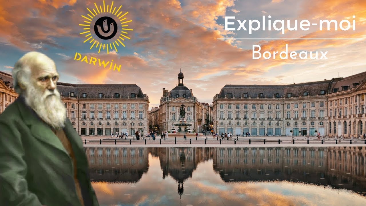 EXPLIQUE-MOI BORDEAUX #1 : L'ECO-SYSTEME DARWIN