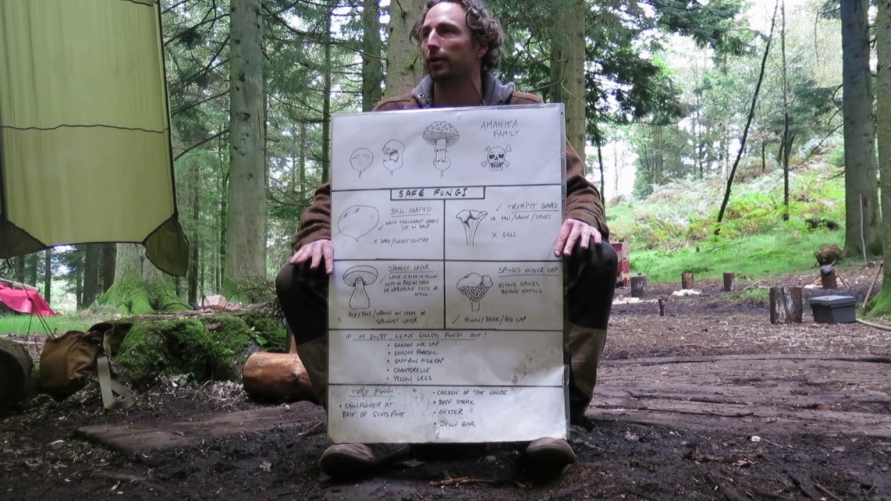 Fungi foraging safety talk
