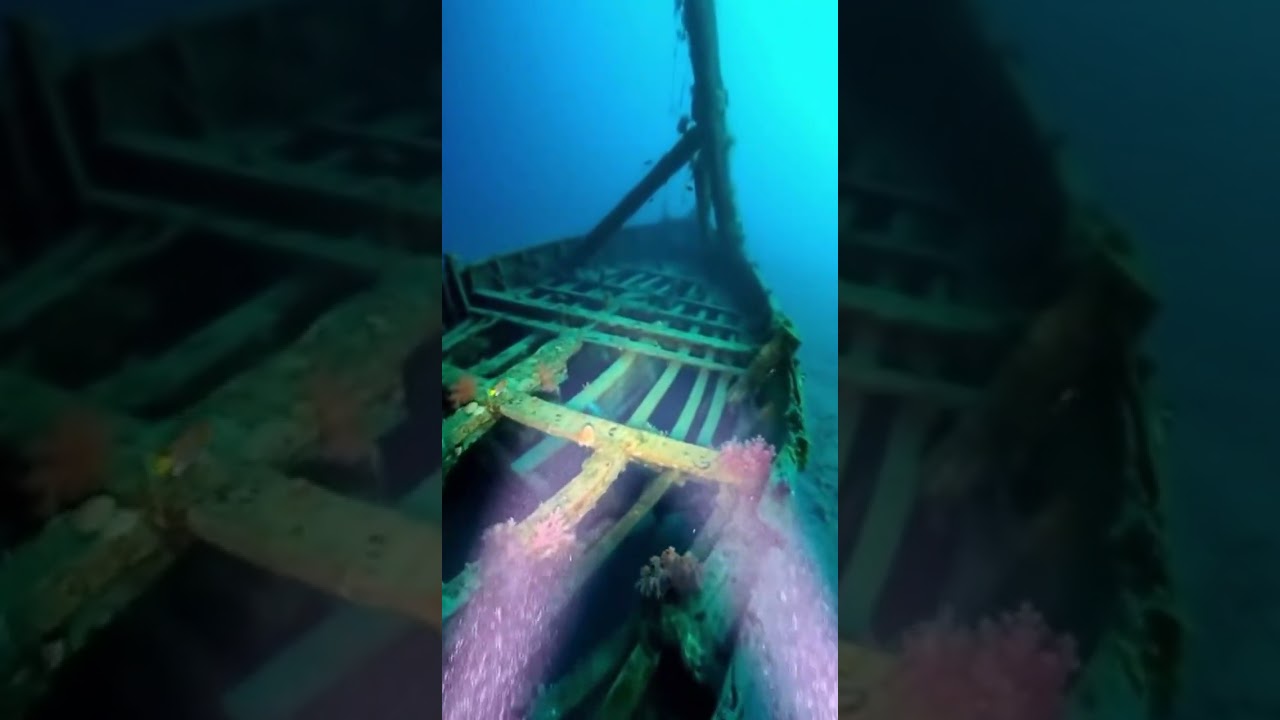 Underwater Drone Explores Ancient Coral-Covered Shipwreck 