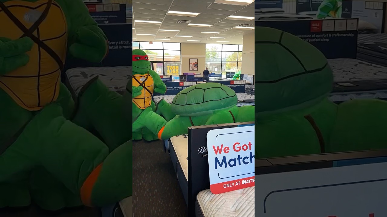 Ninja Turtles Mattress Shopping