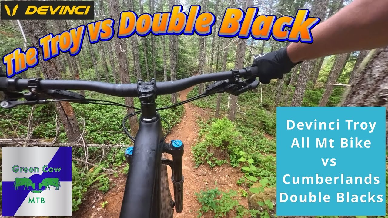 Devinci Troy vs Double Black