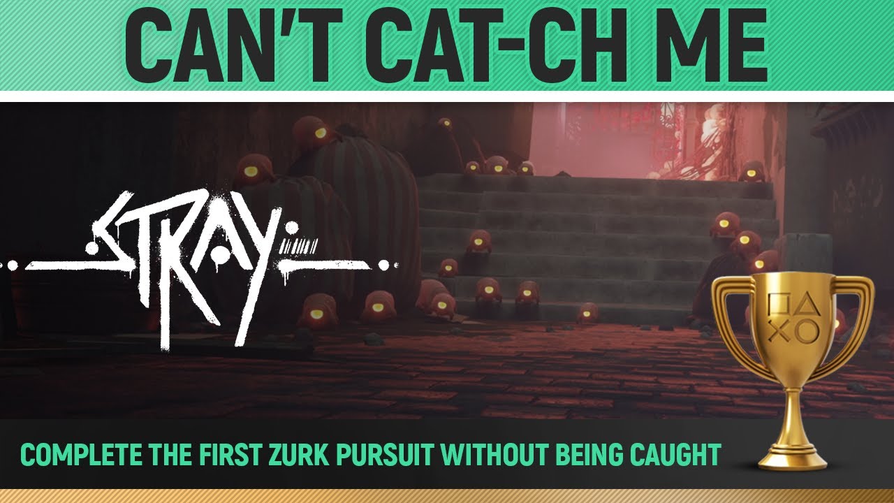 Stray - Can't Cat-ch Me 🏆 Trophy Guide (Chapter 2 Zurk Pursuit)