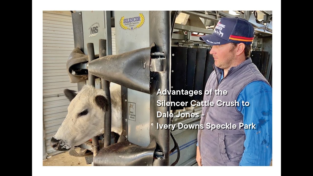 The advantages of the Silencer Cattle Crush to Dale Jones Ivery Downs Speckle Park Property
