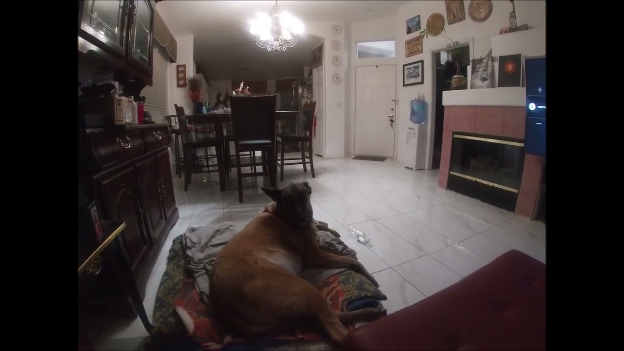 next time we will bring you with us