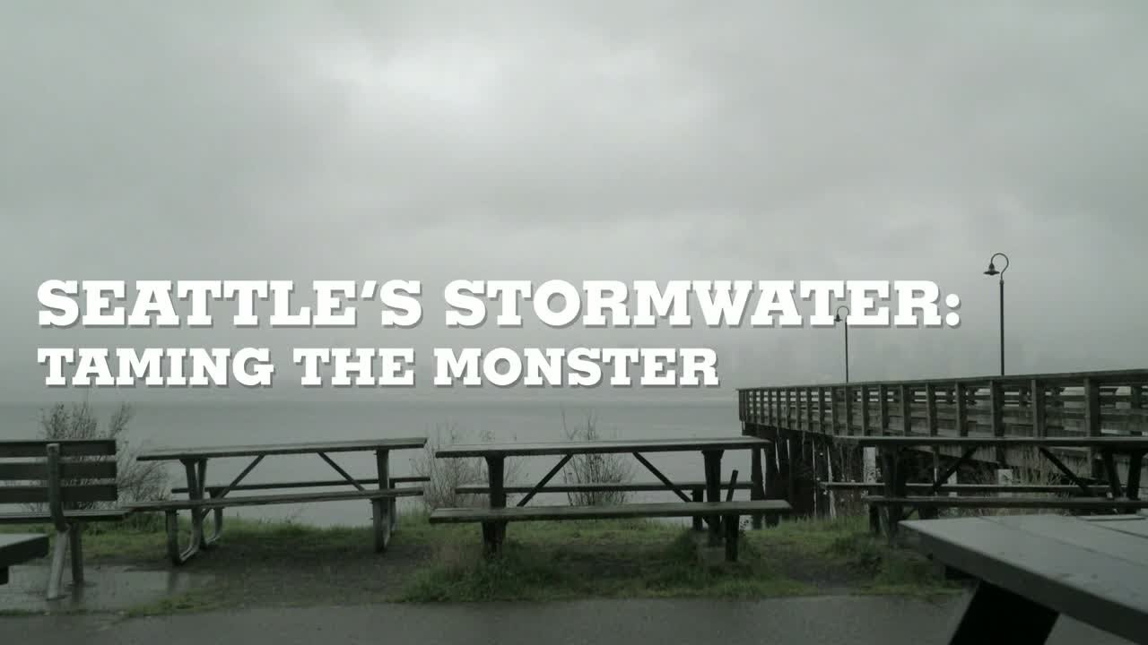 Seattle: When it rains, it pollutes