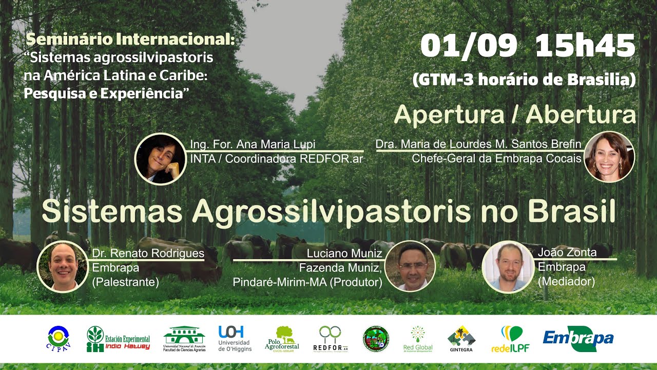 Sistemas Agrossilvipastoris no Brasil