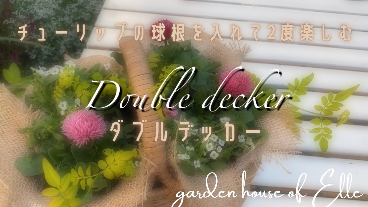【秋のガーデニング】ダブルデッカー　チューリップの球根を入れて2度楽しい寄植え♡春まで長く楽しもう♪