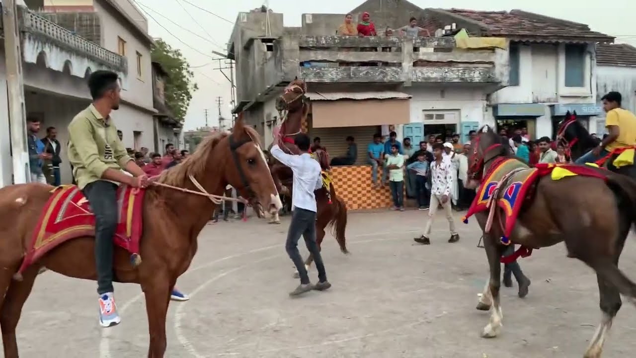 Jetpur khirsda fuleku ( kudwa wala ghoda )