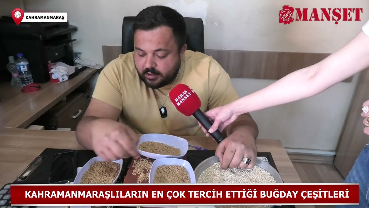 Kahramanmaraşlıların en çok tercih ettiği buğday çeşitleri