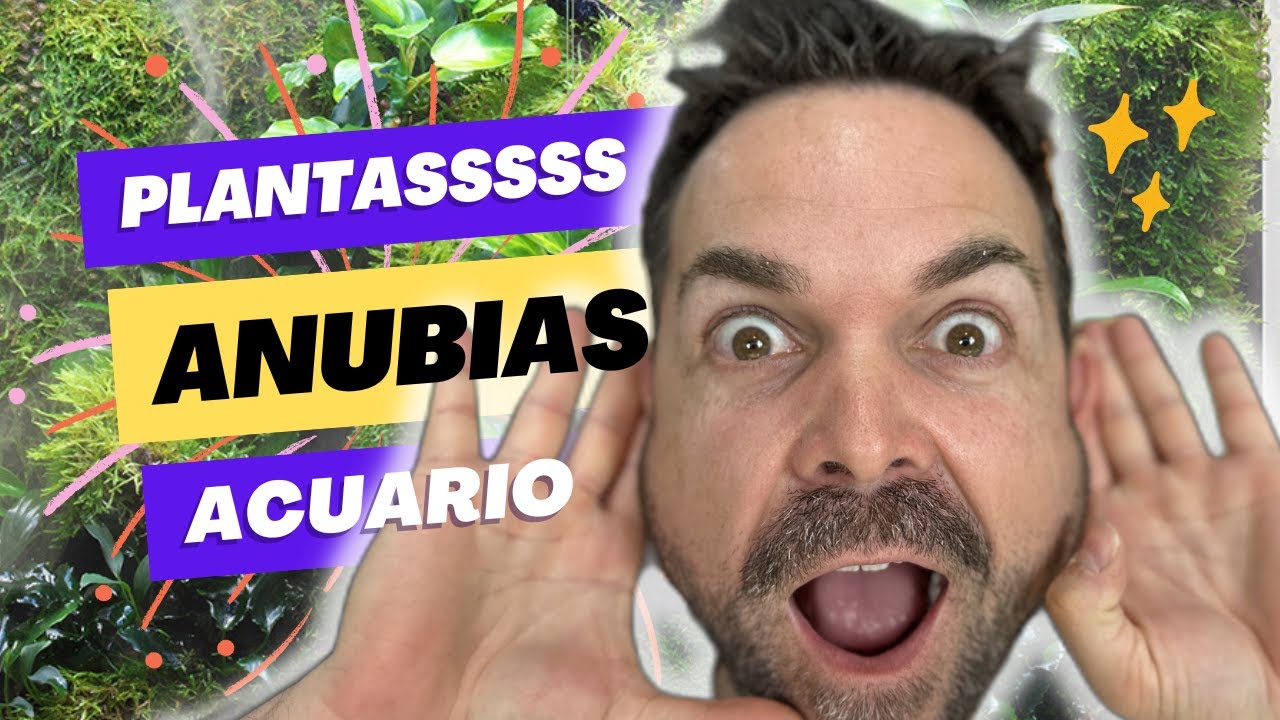 Planta por planta - ANUBIAS
