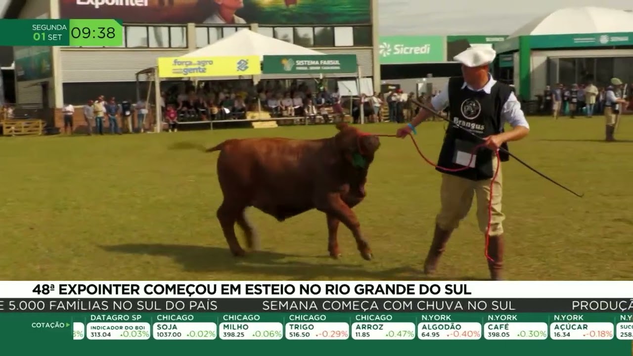 48° Expointer começou em Esteio no Rio Grande do Sul