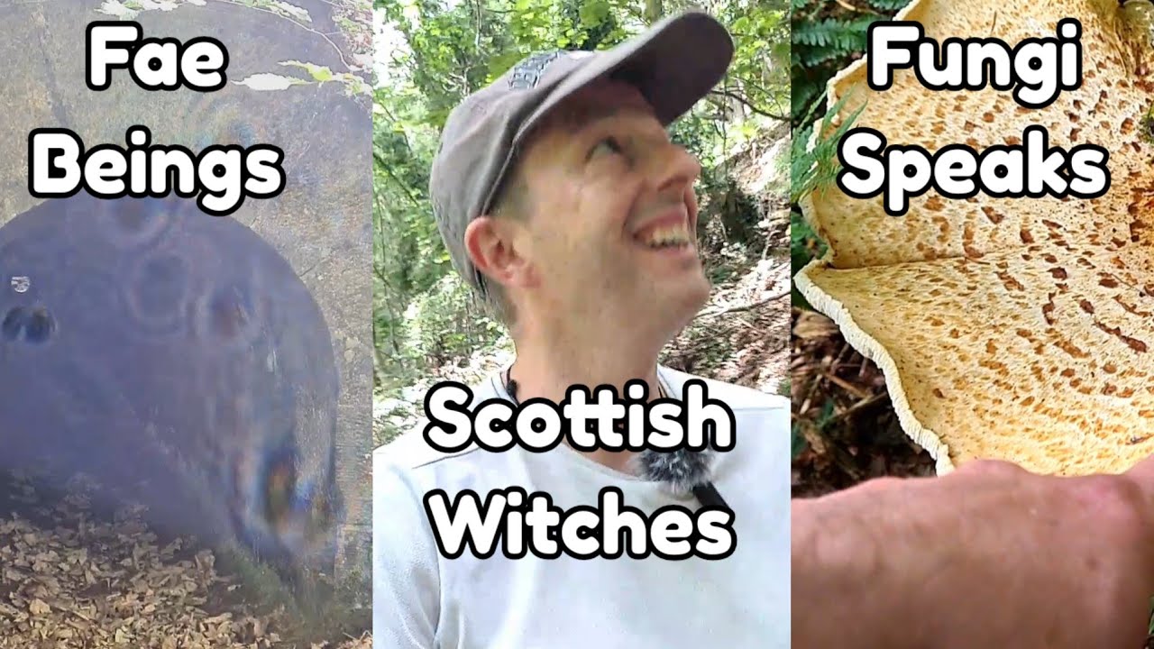 Psychic Conversations with Fungi Trees | Fae Beings & Scottish Witches about Self Love