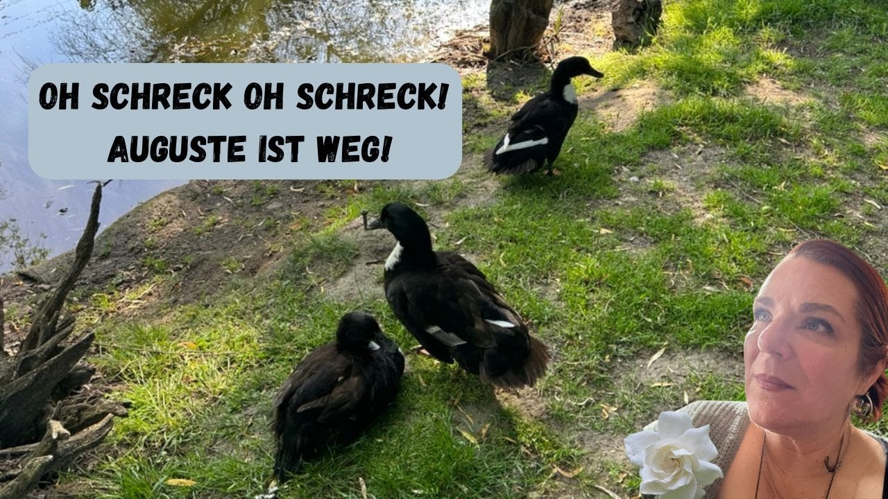 Entspannte Gartentour? Tscha, das war wohl nichts! Auguste ist weg! Ob wir sie wiedersehen?