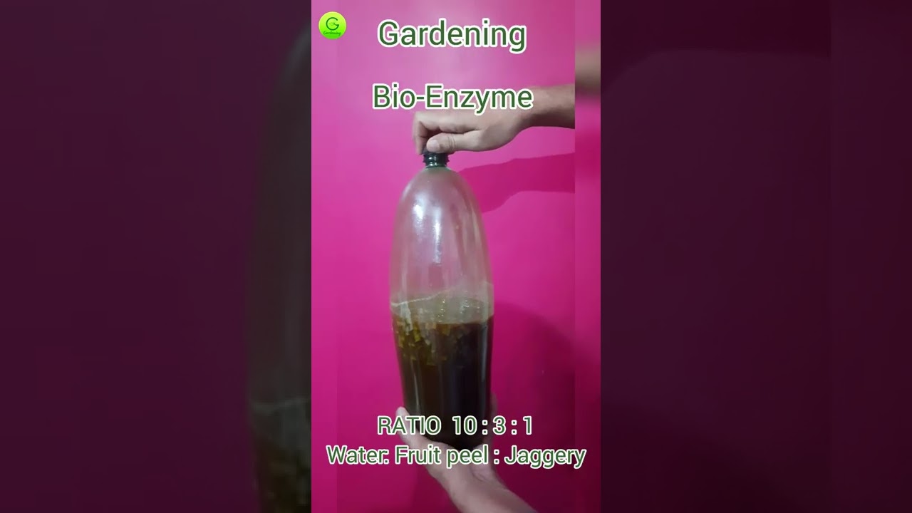 Bio-Enzyme  / Bioenzyme