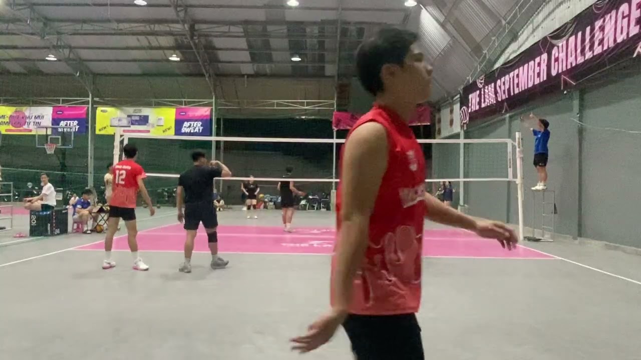 VolleyBee - NFT