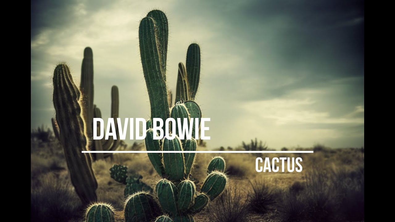 David Bowie - Cactus (lyrics video with AI generated images)