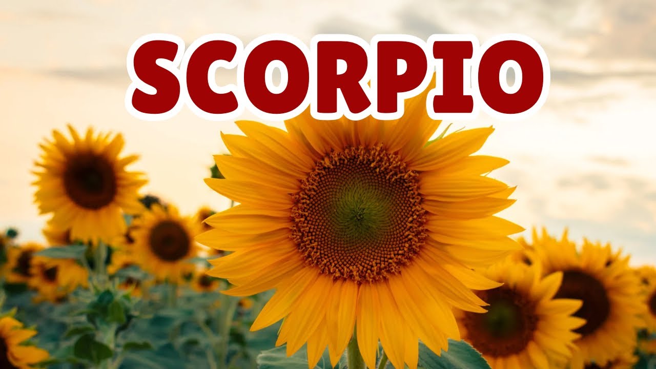 Scorpio - WOOW! S-SWERTEHIN SA MGA OPPORTUNITIES🙏🏻 - Blessings February 2026 - Tagalog Tarot Reading