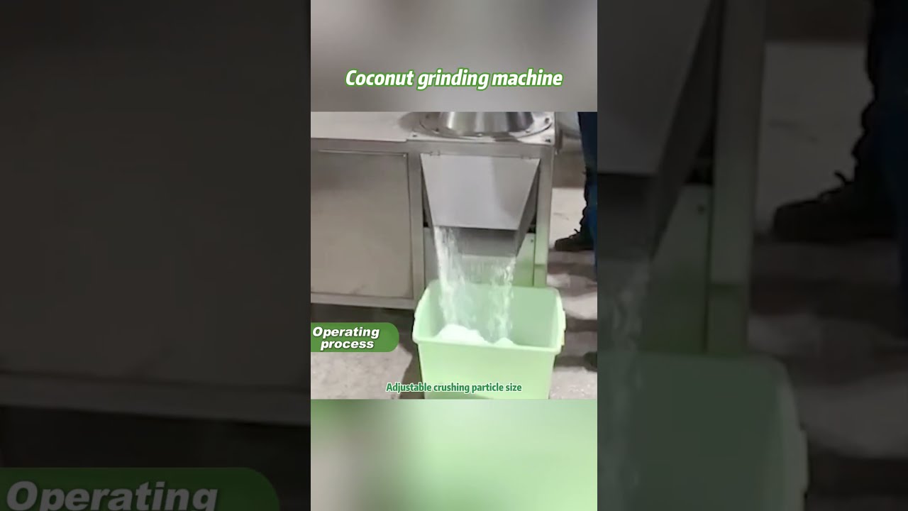 🥥 Gondor Coconut Meat Grinding Grinder Machine &ndash; Powerful, Efficient & Built for Your Business! 🌴