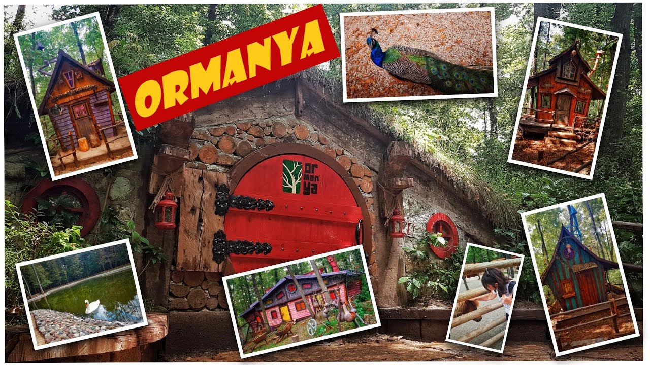 ORMANYA ~ HOBBİT EVLERİ ( KOCAELİ - KARTEPE - MAŞUKİYE )