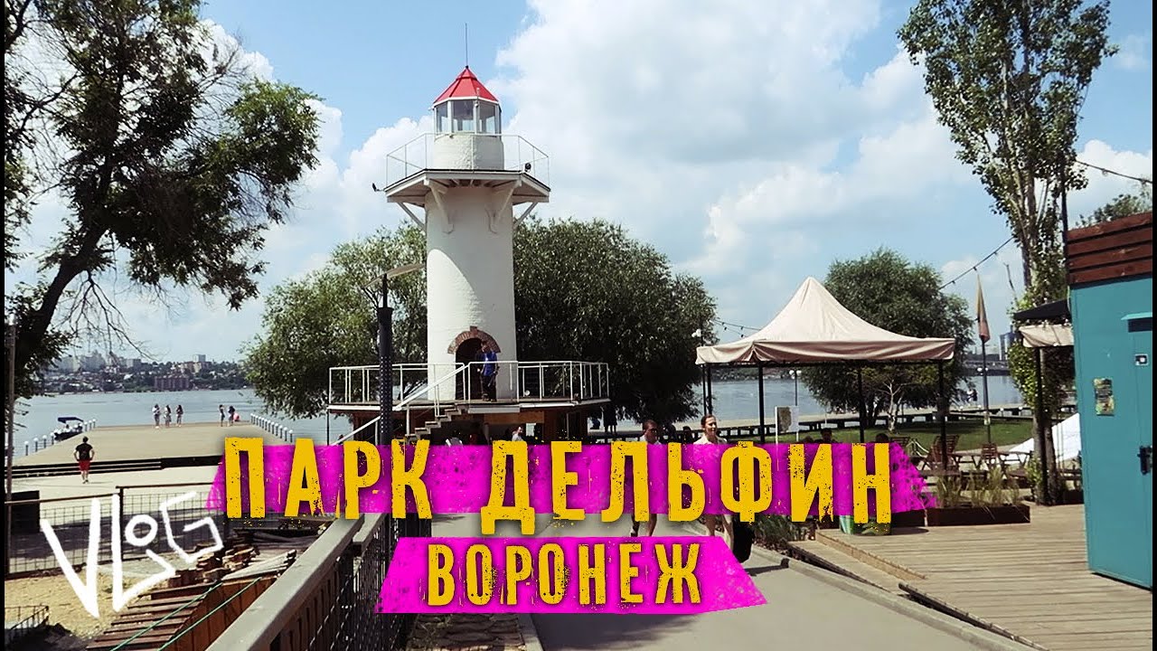 Воронеж. Парк Дельфин к чему привела реконструкция парка?