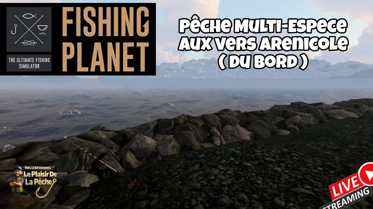 🔴 FISHING PLANÈTE 🇧🇻 Posé Multi-Especes au vers Arenicole 🇧🇻 Skarland Fjord