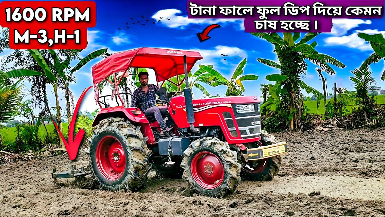 Mahindra Yuvo Tech Plus 585 Di Cultivator Performance In Full Deep Mud | #tractorvideo