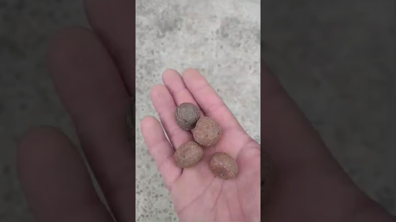 # Argila expandida para filtragem  do seu lago