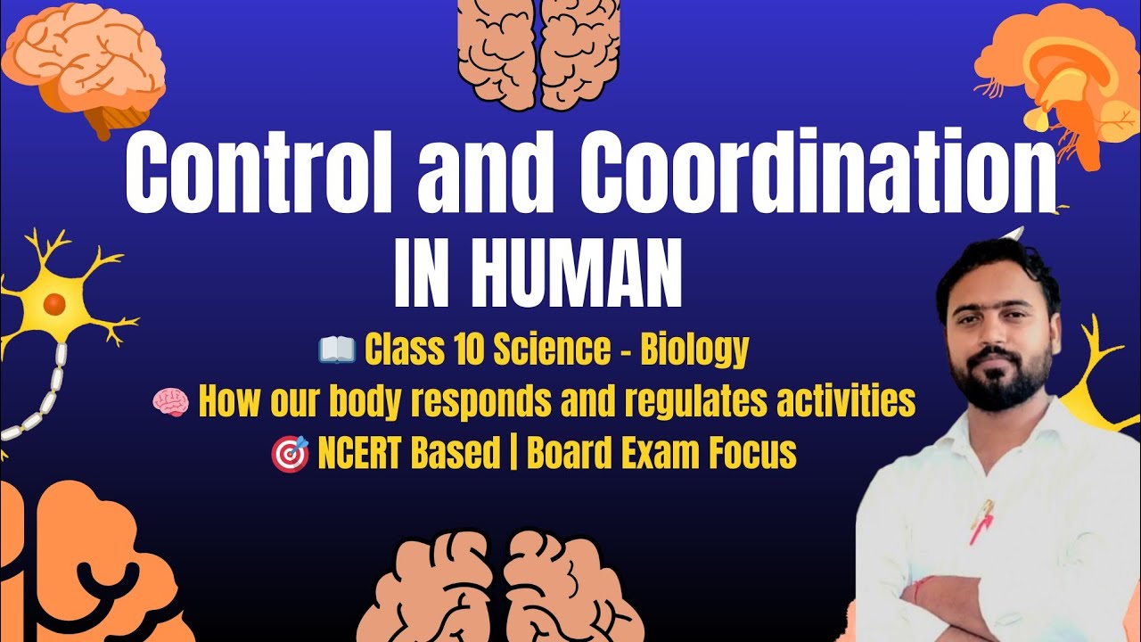 Neural Control and Coordination Class 10 | UP Board Exam 2026 | Full Chapter #controlandcoordination