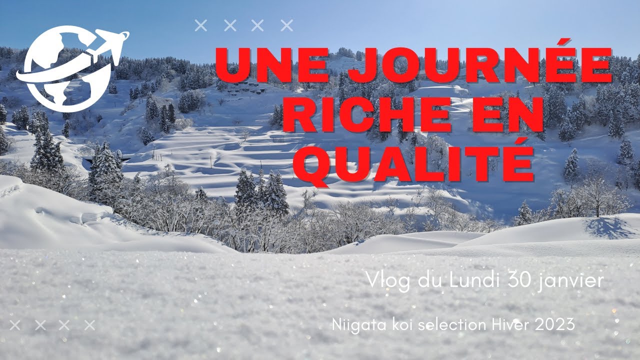 Vlog numéro 3 Nigaata koi sélection Hiver 2023
