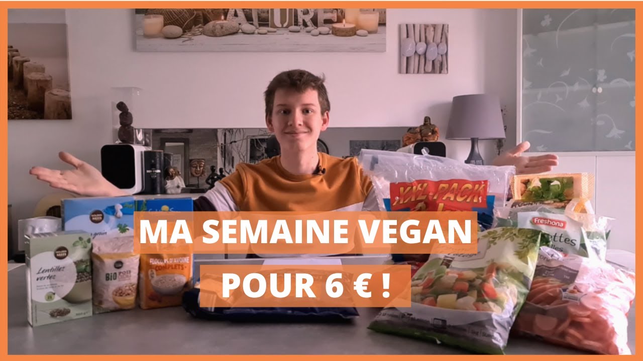 |  Vegan Life  | Retour de courses vegan à 6 € chez LIDL !
