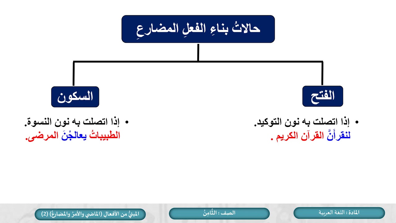 الصف الثامن   اللغة العربية   النحو  المبني من الأفعال   الماضي  والأمر والمضارع     ج2