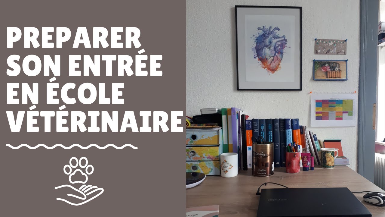 Comment préparer son entrée en école vétérinaire?
