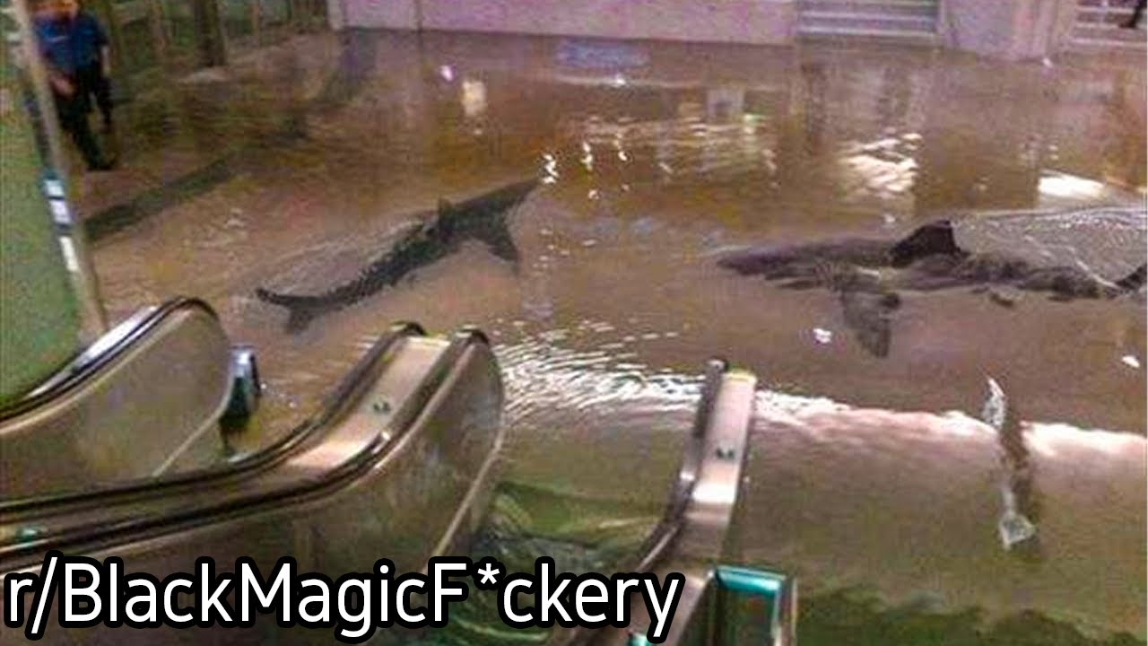 r/BlackMagicF*ckery | How did they get there???