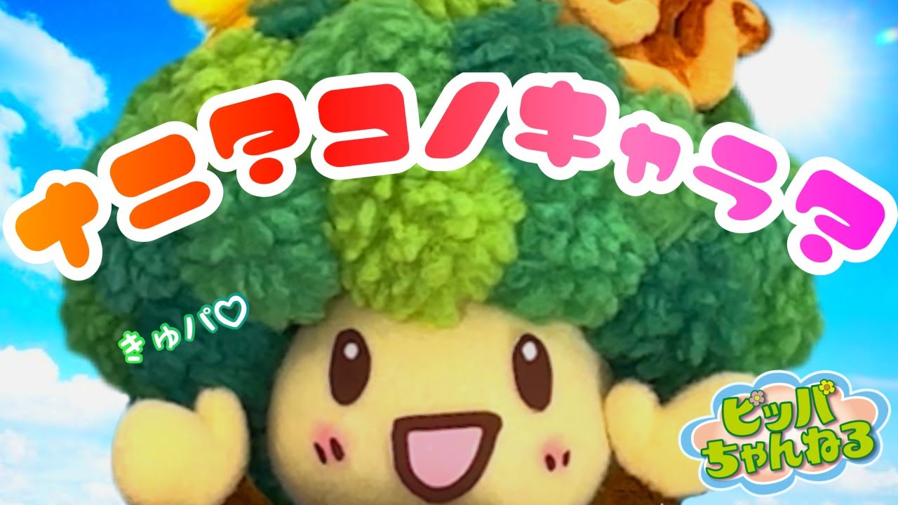 第一回 ピッパクイズ〜！