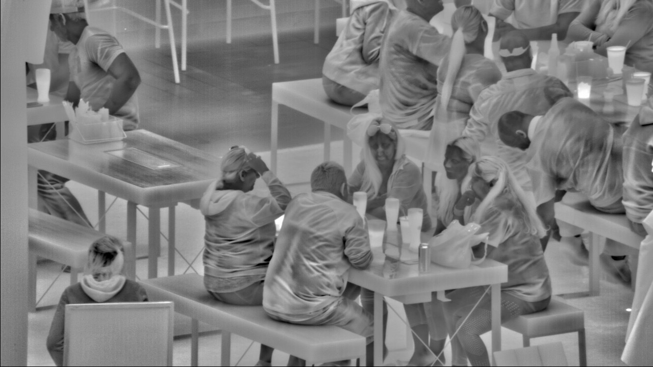 long range thermal flir ptz MWIR cooled camera