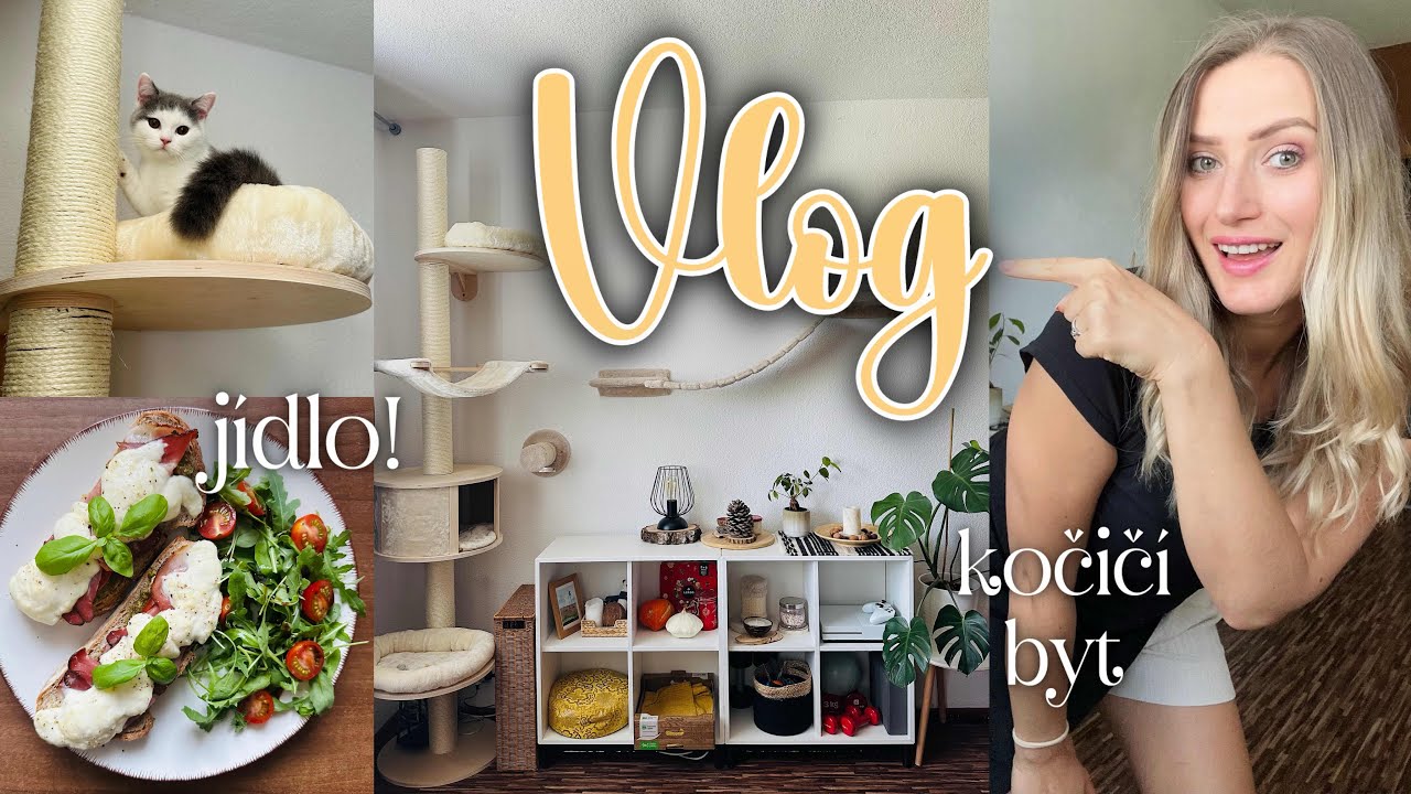 UŽ NEMÁME KOŤÁTKA😿 Vylepšujeme obývák🛠️ Jídlo🥐Mega kočičí haul📦