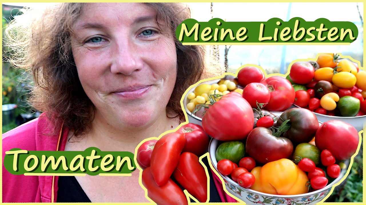 Tomaten Sorten Vorstellung / Viele verschiedene Sorten Tomatenanbau
