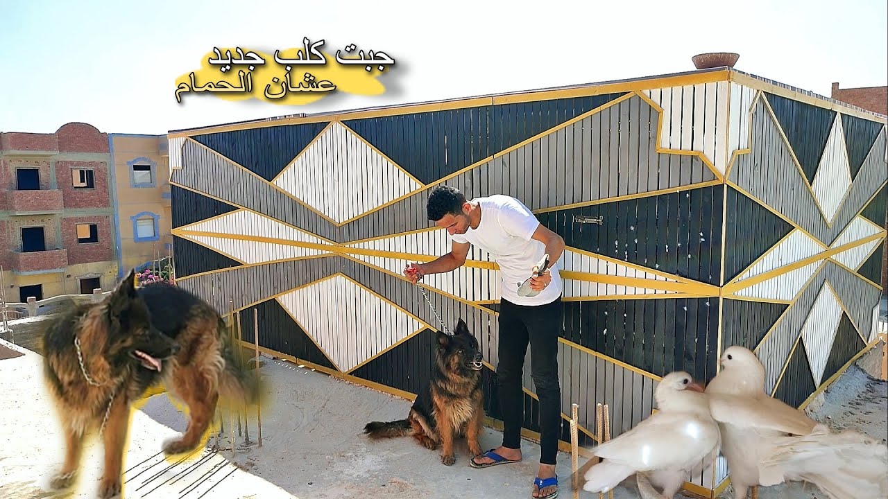 جبت كلب جديد عشان الحمام و الغية😯وشوف عملت معهم اي ؟!!