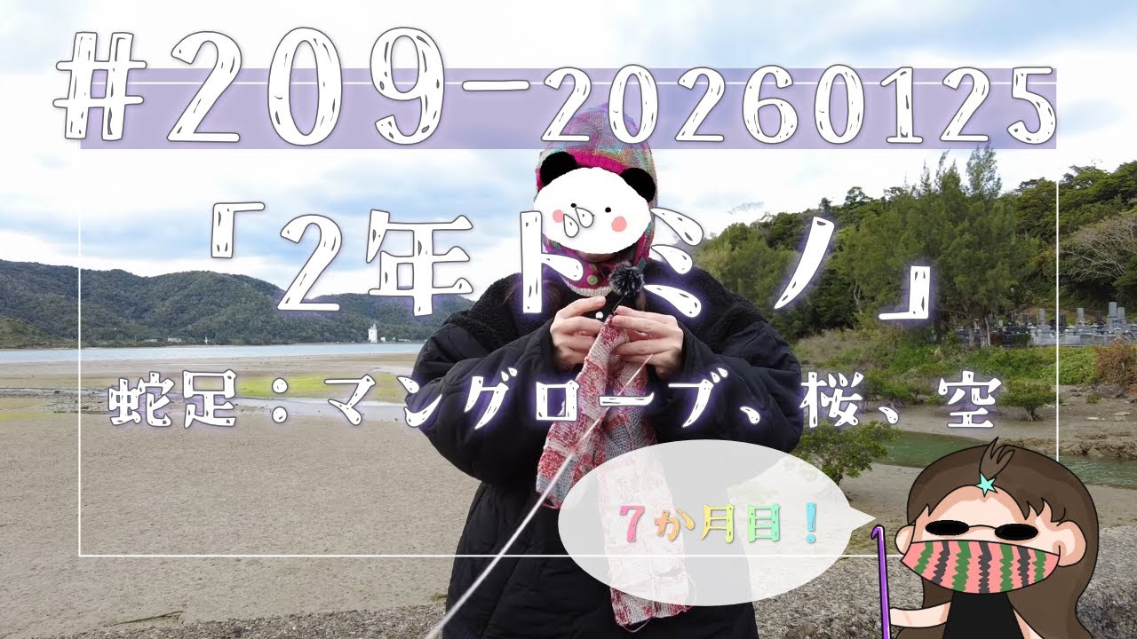 【209#2年ドミノ】1月25日ドミノ編み←蛇足：マングローブと桜、ミルキー色の空