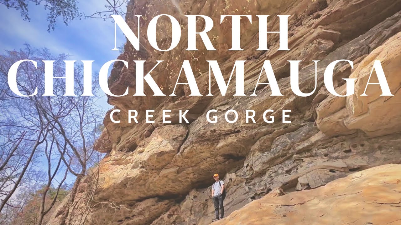 NORTH CHICKAMAUGA CREEK GORGE - CUMBERLAND TRAIL | Chattanooga hiking